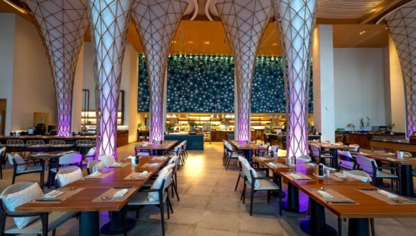 Quantum Cafés and Holographic Hideouts: A Geek’s Journey Through Futuristic Dining in 2026